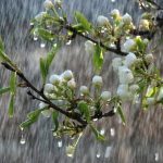 Vremea va ramane variabila in judetul Dambovita in urmatoarele doua saptamani