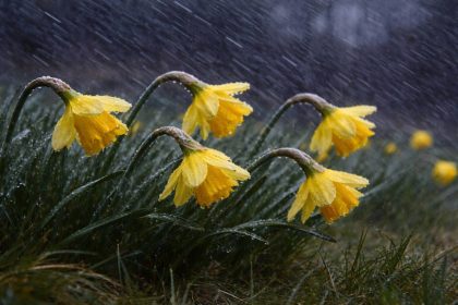Weekend cu vreme schimbatoare Judetul Dambovita sub incidenta mai multor avertizari meteorologice