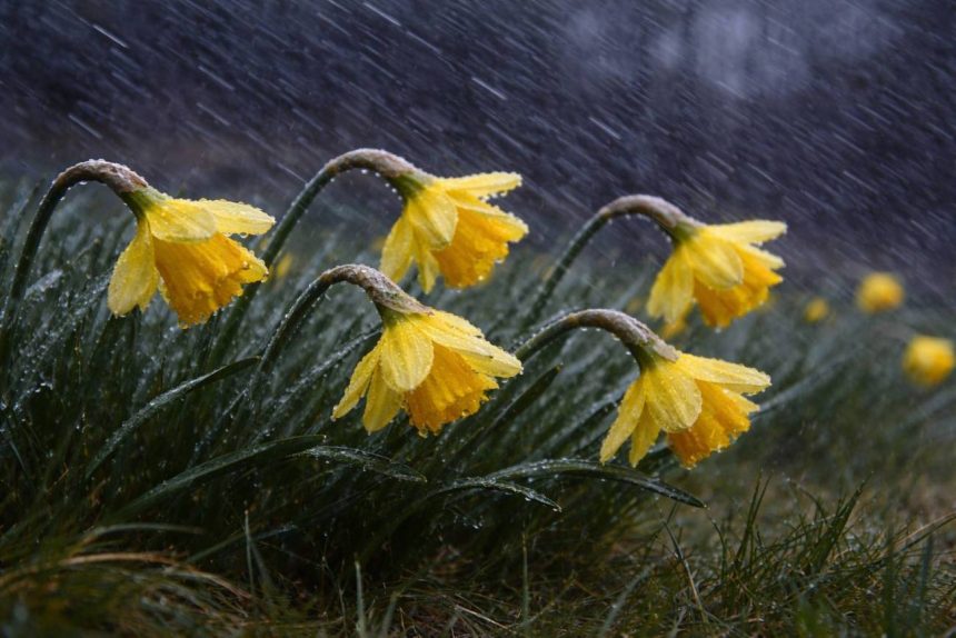 Weekend cu vreme schimbatoare Judetul Dambovita sub incidenta mai multor avertizari meteorologice