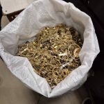 inspectorii antifrauda au confiscat 6893 milioane de lei de la o casa de schim valutar 21 kg de bijuterii din aur si suma de 137 milioane lei obtinuta din vanzarea unor lingouri de aur de la o casa de amanet