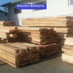 24 DE METRI CUBI DE MATERIAL LEMNOS CONFISCATI DE POLITIA DIN FIENI