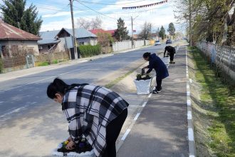 Activitati de primavara la Odobesti plantari de arbori actiuni de curatenie si lucrari de intretinere in diverse zone