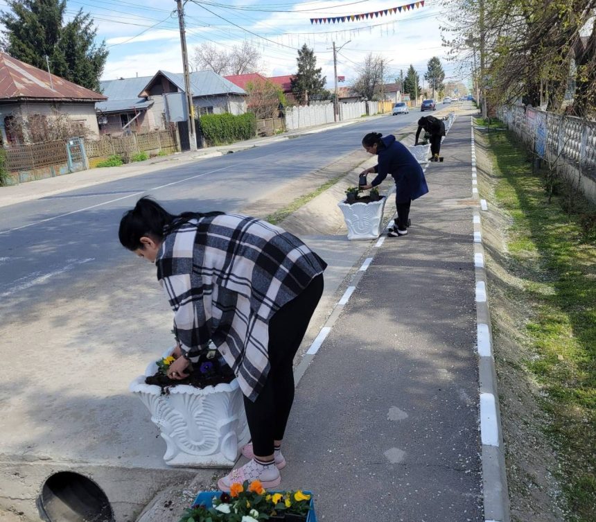 Activitati de primavara la Odobesti plantari de arbori actiuni de curatenie si lucrari de intretinere in diverse zone