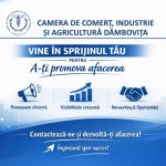 Camera de Comert Dambovita sustine antreprenorii in cresterea vizibilitatii si a afacerilor acestora