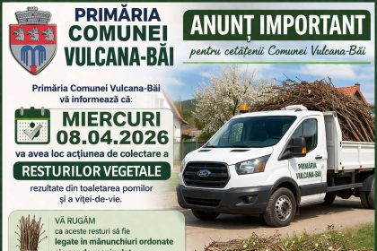 Colectarea resturilor vegetale la Vulcana Bai