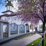 La Titu cu ocazia Pashtelui bisericile au fost inconjurate de flori ca semn de respect si credinta