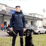 Masuri de siguranta publica la meciul AFC Chindia Targoviste