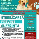 Sterilizari gratuite pentru caini si pisici in Aninoasa pe 21 aprilie