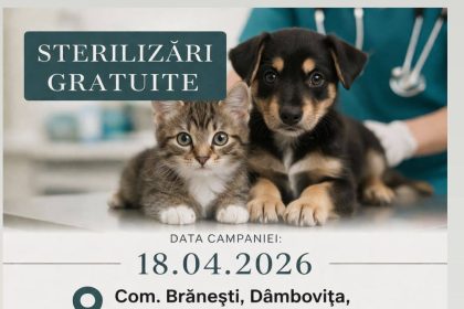 Sterilizari gratuite pentru caini si pisici in Branesti pe 18 aprilie