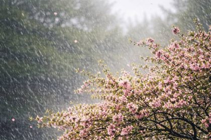 Vreme schimbatoare de 1 Mai in Muntenia Planurile de gratar afectate de racire si ploi