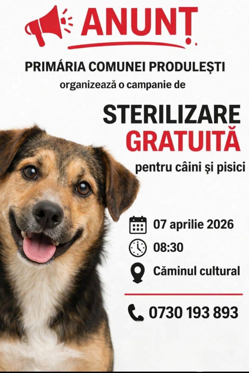 campanie gratuita de sterilizare la produlesti apel catrei locuitori pentru a diminua numarul animalelor fara stapan