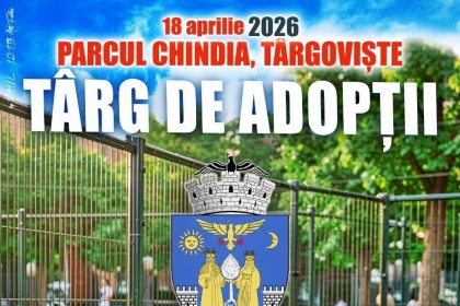 expoziie internaional de cini i trg de adopii smbt n parcul chindia din trgovite