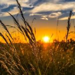 Valul de caldura se extinde in Romania ANM anunta temperaturi caniculare de pana la 40 de grade