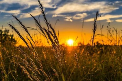 Valul de caldura se extinde in Romania ANM anunta temperaturi caniculare de pana la 40 de grade