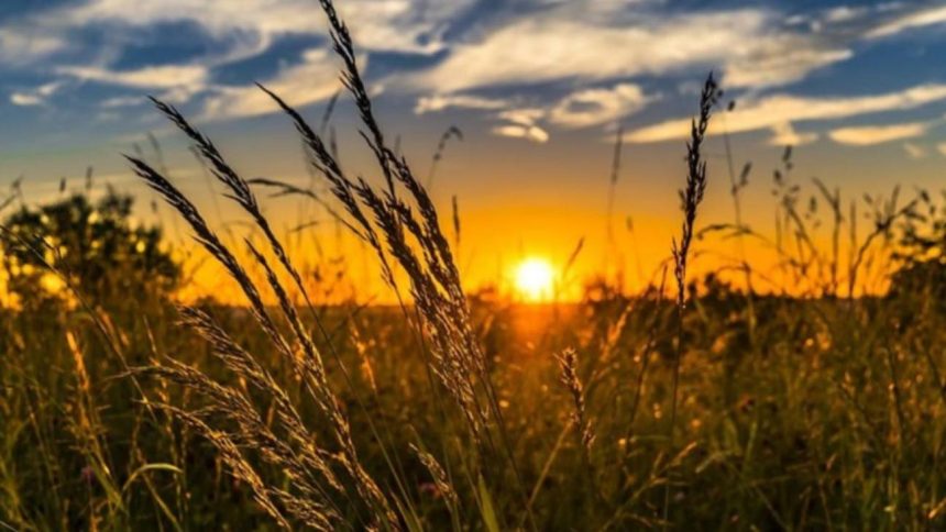 Valul de caldura se extinde in Romania ANM anunta temperaturi caniculare de pana la 40 de grade
