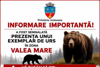 Alerta la Aninoasa Un urs a atacat animale in zona Valea Mare Autoritatile solicita prudenta