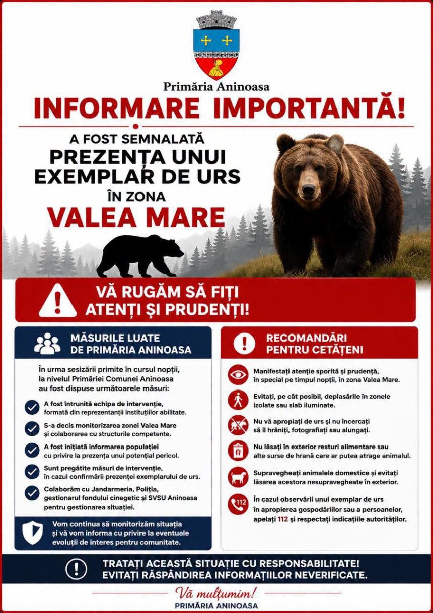 Alerta la Aninoasa Un urs a atacat animale in zona Valea Mare Autoritatile solicita prudenta