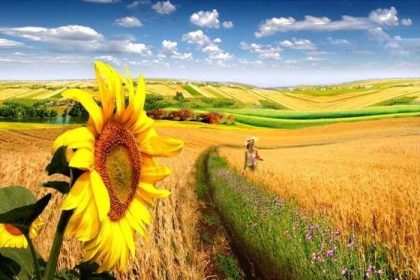 Caldura persista Ce temperaturi prognozeaza meteorologii pentru Muntenia in urmatoarele doua saptamani