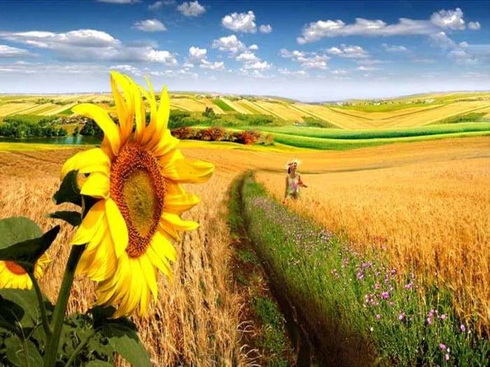 Caldura persista Ce temperaturi prognozeaza meteorologii pentru Muntenia in urmatoarele doua saptamani