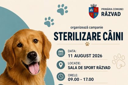 Campanie gratuita de sterilizare a cainilor organizata marti la Razvad