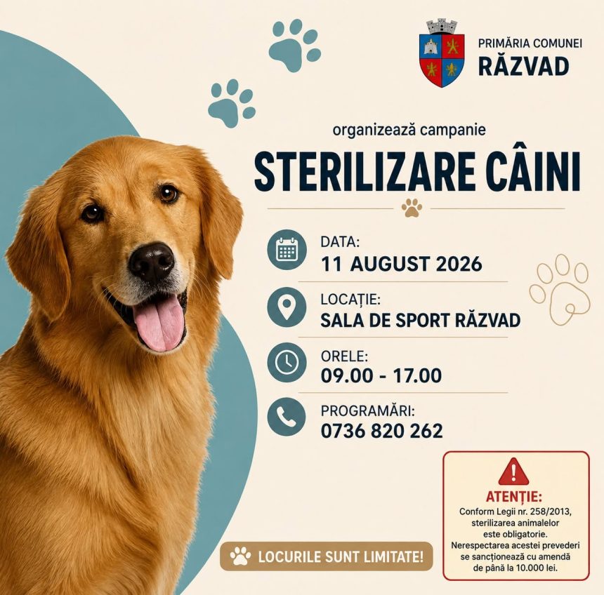 Campanie gratuita de sterilizare a cainilor organizata marti la Razvad