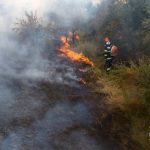 Cinci incendii de vegetatie si zeci de hectare afectate intr o singura zi in judetul Dambovita Pompierii lanseaza din nou un semnal de alarma