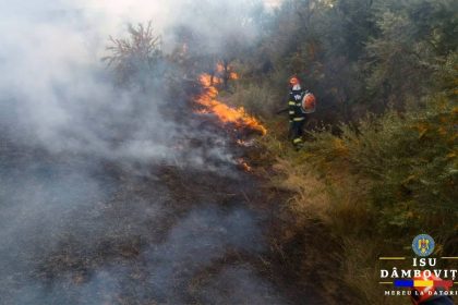 Cinci incendii de vegetatie si zeci de hectare afectate intr o singura zi in judetul Dambovita Pompierii lanseaza din nou un semnal de alarma