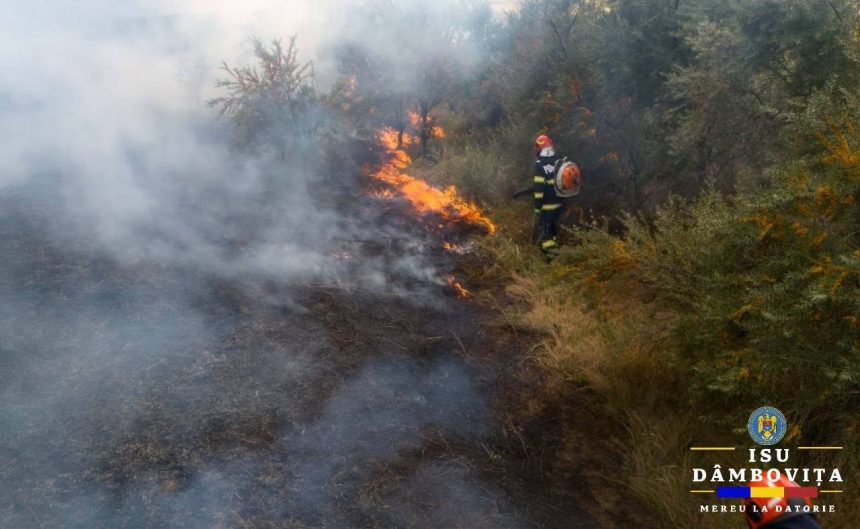 Cinci incendii de vegetatie si zeci de hectare afectate intr o singura zi in judetul Dambovita Pompierii lanseaza din nou un semnal de alarma