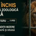 Garda de Mediu masuri severe pentru centrul de animale salbatice din Dambovita amend de 220000 lei si plangere penala