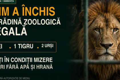Garda de Mediu masuri severe pentru centrul de animale salbatice din Dambovita amend de 220000 lei si plangere penala