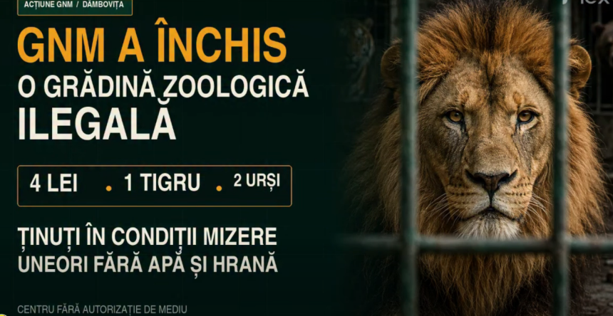 Garda de Mediu masuri severe pentru centrul de animale salbatice din Dambovita amend de 220000 lei si plangere penala
