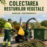 Incepand cu 1 septembrie crengile si celelalte deseuri vegetale nu vor mai fi colectate de la portile gospodariilor din Branesti
