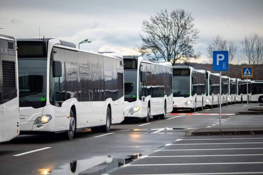 Incepand din septembrie transportul cu autobuzele este gratuit vinerea in Targoviste Masura se aplica pentru toti calatorii