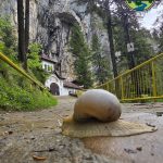 PESTERA IALOMITEI LOCUL PERFECT N ZILELE CALDUROASE