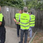 Primaria Gaesti de la usa la usa pentru identificarea cainilor cu stapan Sterilizarea vaccinarea si microciparea sunt oferite gratuit