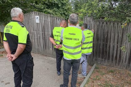 Primaria Gaesti de la usa la usa pentru identificarea cainilor cu stapan Sterilizarea vaccinarea si microciparea sunt oferite gratuit
