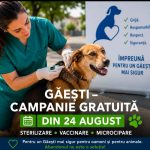 Primaria Gaesti initiaza o actiune extinsa pentru gestionarea cainilor cu si fara stapan