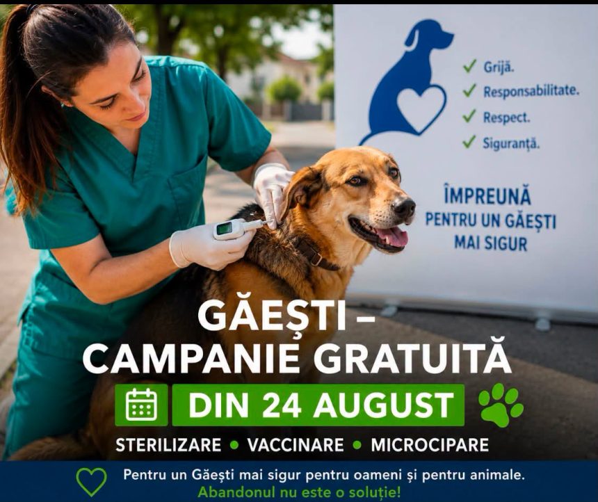 Primaria Gaesti initiaza o actiune extinsa pentru gestionarea cainilor cu si fara stapan