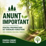Proprietarii de paduri din Vulcana Pandele trebuie sa isi marcheze terenurile pentru a putea exploata lemnul