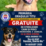 Recensamantul cainilor si campanie gratuita de sterilizare la Titu
