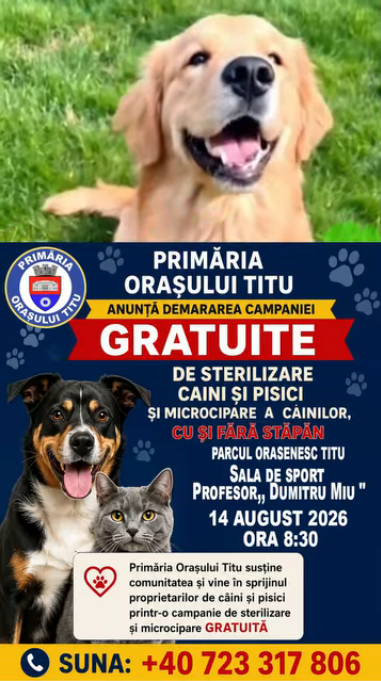 Recensamantul cainilor si campanie gratuita de sterilizare la Titu