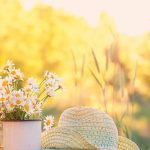 cum va fi vremea in urmatoarele doua saptamani in dambovita anm prognozeaza temperaturi de pana la 32 de grade si mai multe episoade de ploi