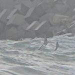 fragmente de drone gasite in aceasta dimineata la costinesti