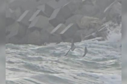 fragmente de drone gasite in aceasta dimineata la costinesti
