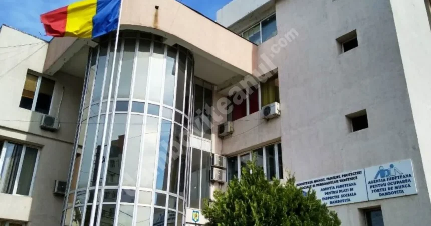 AJOFM Dâmbovița conectează oamenii cu oportunități de angajare