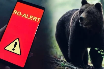 Alertă după prezența unui urs la Pucioasa. Intervenția autorităților