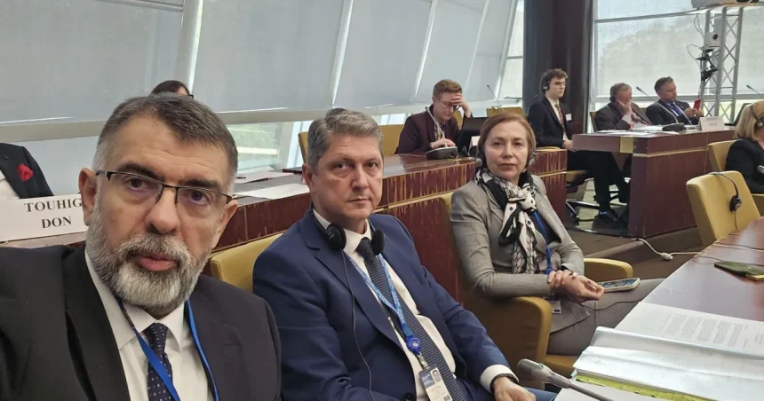 Carmen Holban susține un program de mentorat pentru tinerii din diaspora