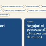 CCIA Dâmbovița: ce competențe digitale cer locurile de muncă?