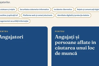 CCIA Dâmbovița: ce competențe digitale cer locurile de muncă?
