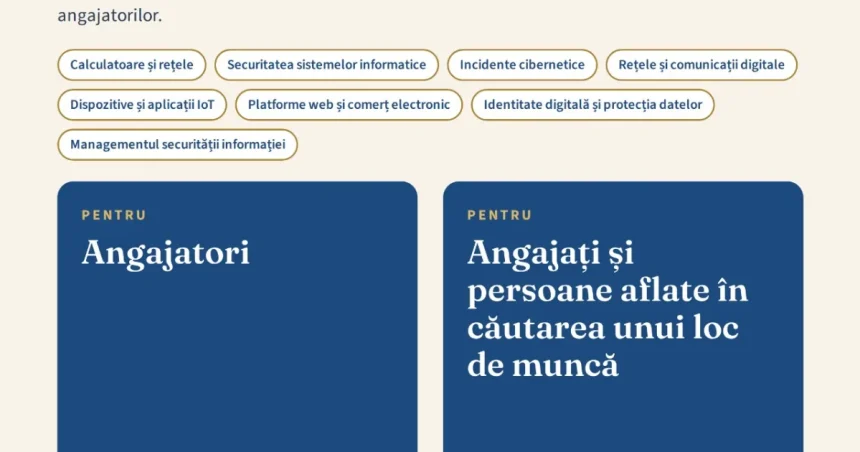 CCIA Dâmbovița: ce competențe digitale cer locurile de muncă?